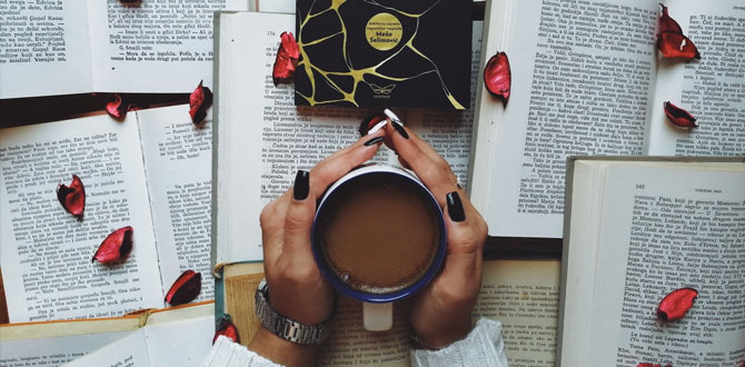 稅務(wù)籌劃的主要內(nèi)容有哪些？